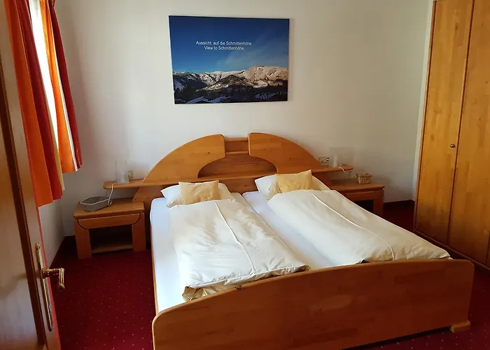 Апартаменты Appartementhaus Hollaus Целль-ам-Зе